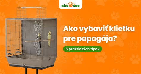 Ilustrácia papagája v modernej klietke