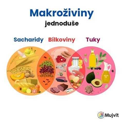 Graf: Doporučené makroživiny pre kanaánskeho psa
