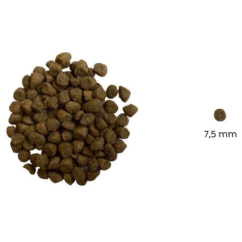 Zloženie kvalitných krmív pre psov