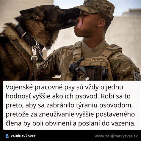 Portréty: Slávne vojenské psy a ich maskoti na fronte