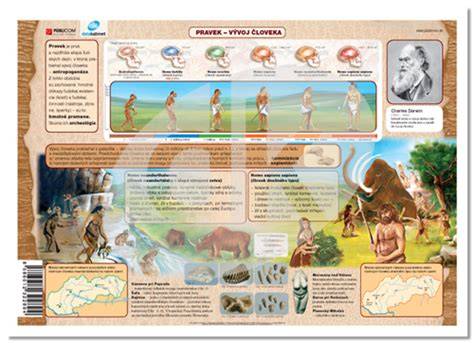 infografika: Vývoj vzťahu človeka a psa cez tisícročia