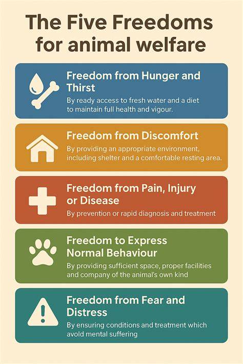 Grafika: piastrové štandardy welfare a Five Freedoms