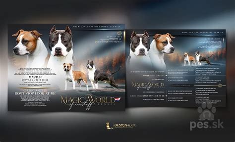 Infografika o starostlivosti o amerického stafordšírskeho teriéra