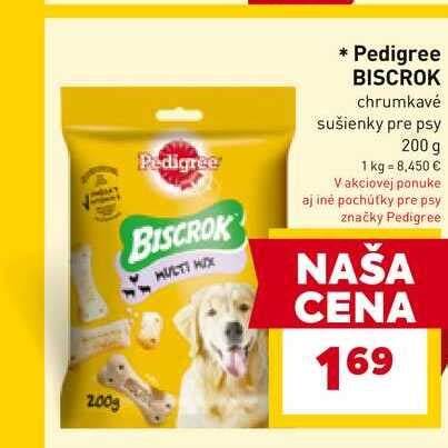 Rôzne vtáčie psy v teréne