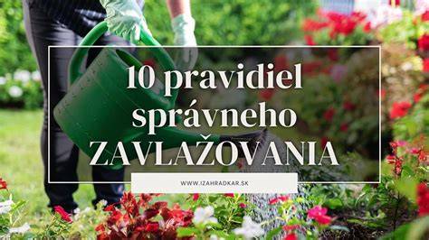 Infografika: Stručný prehľad správneho výcviku a pravidiel