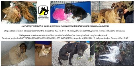 Mapa útulkov s psami na adopciu