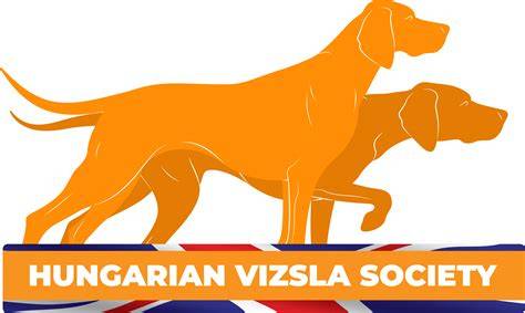 Vizsla_ikonka.jpg