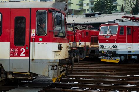 Ilustračná fotografia muža s vlčiakom
