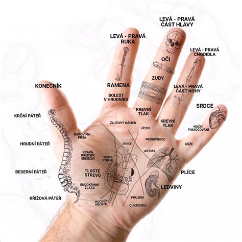 Schéma kladívkového prsta