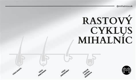 infografika: Rastový cyklus pĺzania a nepĺznucich srstí