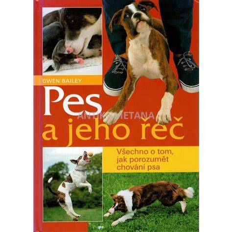 Obrázok interaktívneho psa Bailey a jeho doplnkov