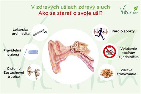 Infografika: Ako funguje ušný kanál psa a kde sa nachádza maz