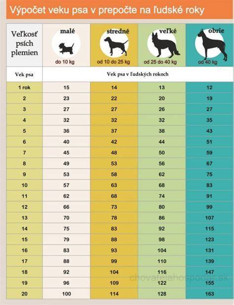 Infografika: Rastové štádiá psa podľa veľkosti plemena
