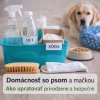 mapa: rovnováhа v domácnosti s mačkou a psom