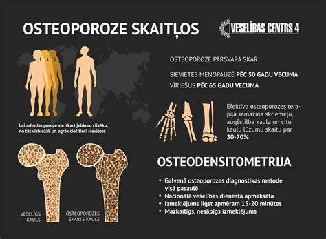 infografika-diagnostika-veterinar
