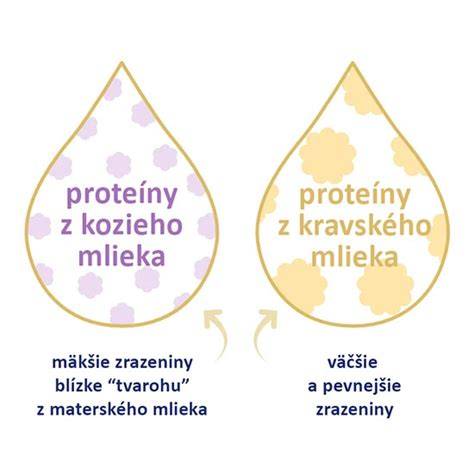 Infografika: Porovnanie typov mlieka pre psov a ich nutričné vlastnosti