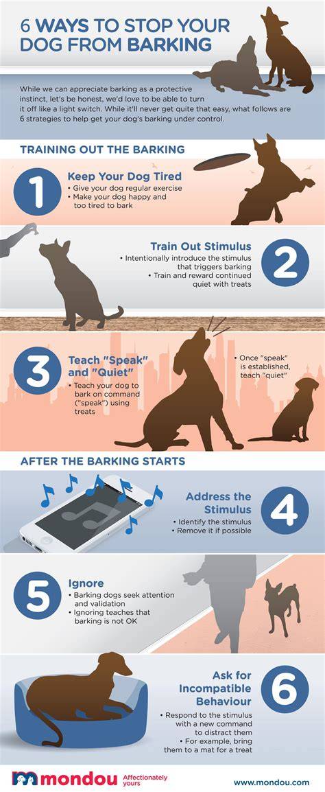 infographic_nocturnal_barking_reasons_and_solutions