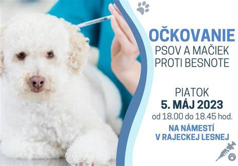 Infografika: Porovnanie potrieb mačiek a psov v strave a starostlivosti