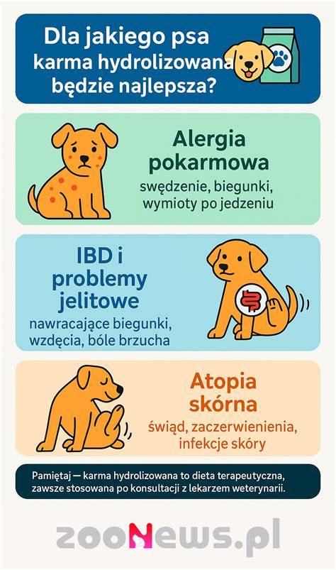 Infografika: Mdloby, kŕče a príčiny neschopnosti stáť u psa
