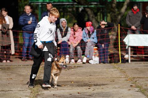 Pes a človek hrajúci sa spolu