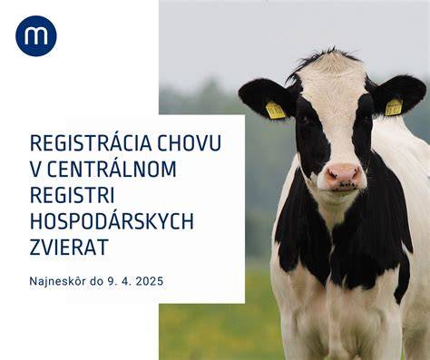 Schéma procesu označovania psov a zápisu do Centálneho registra spoločenských zvierat