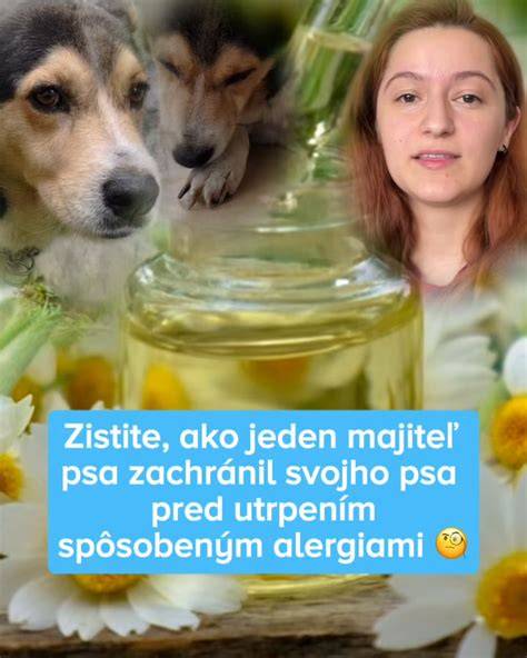 Mapa rizík pre lízanie labiek u psov podľa prostredia (let, zima, alergény)