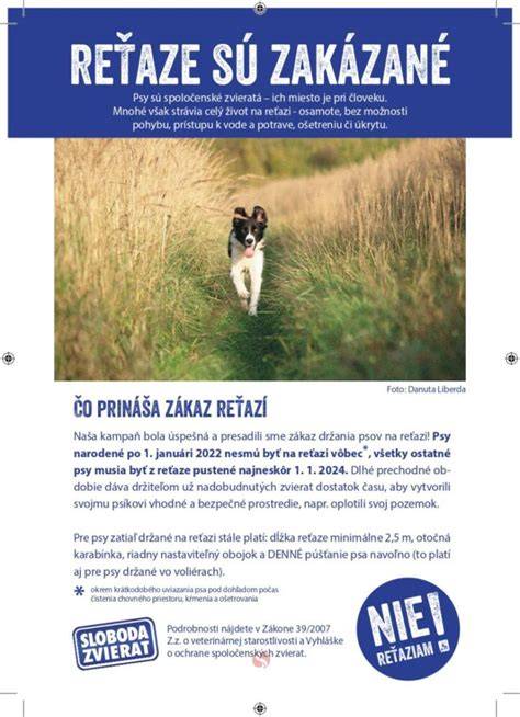 Infografika: Porovnanie podmienok psa na reťazi vs. bez reťaze