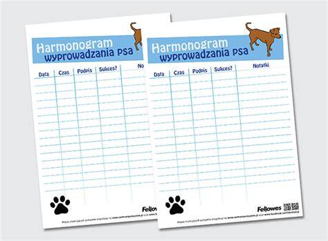 Infografika: Postup po pohryzení psom a harmonogram vyšetrení psa