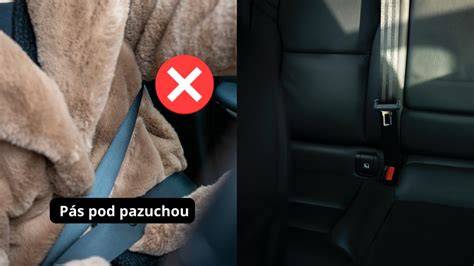 Infografika: Spôsoby zabezpečenia psa v aute (box, sieťka, autosedačka, bezpečnostný pás)