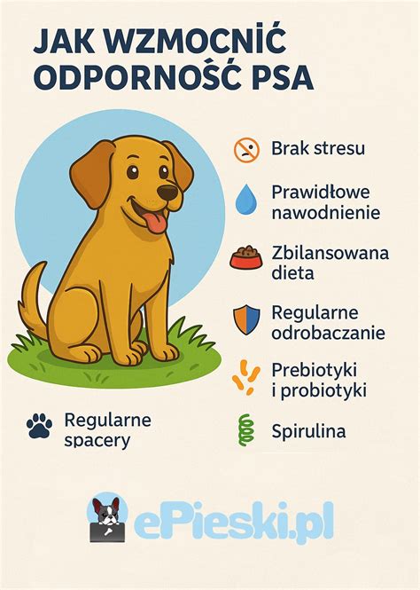 Infografika: päť typov komunikácie psa