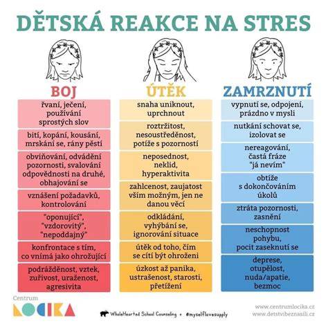 Infografika: Znaky stresu a kroky správneho vedenia pri strese psa