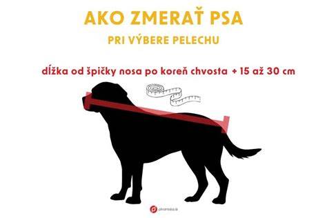 Infografika: Ako správne zmerať psa a vybrať pelech