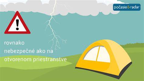 Infografika: Ako postarať sa o zlomený pazúr psa-prvá pomoc, ošetrenie a návšteva veterinára