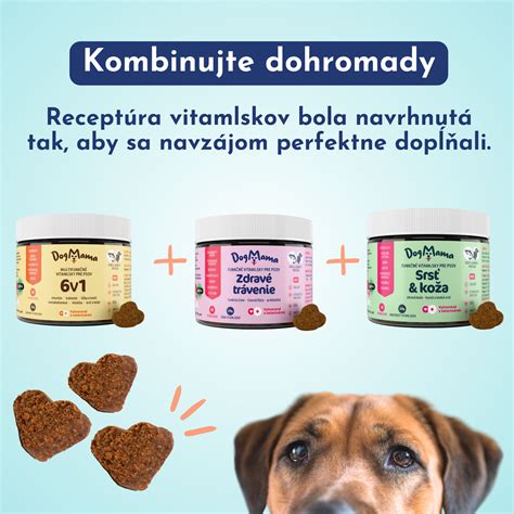 Typická brada a srsť Barbeta