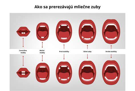 Infografika: Vývoj mliečnych a trvalých zubov u psa a mačky