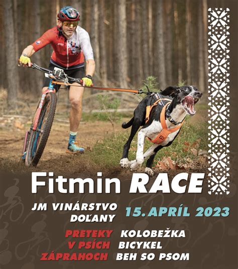 Vianočné preteky so psom