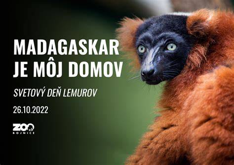 Štandardný predstaviteľ dogy s vyrovnanými líniami a výraznou hlavou