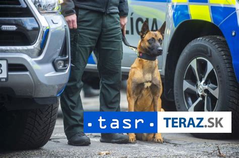 Ilustračná fotografia služobného psa