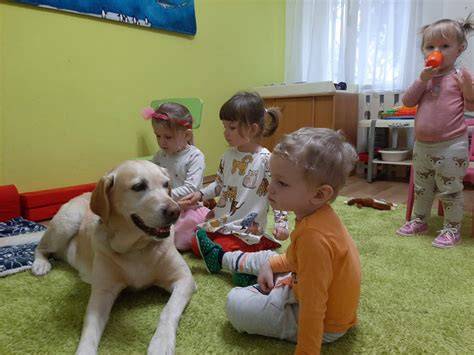 Canisterapia: spolupráca dieťaťa a psa pri terapie