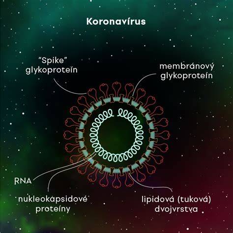Infografika: Ako funguje očkovanie a čo spôsobuje reakcie