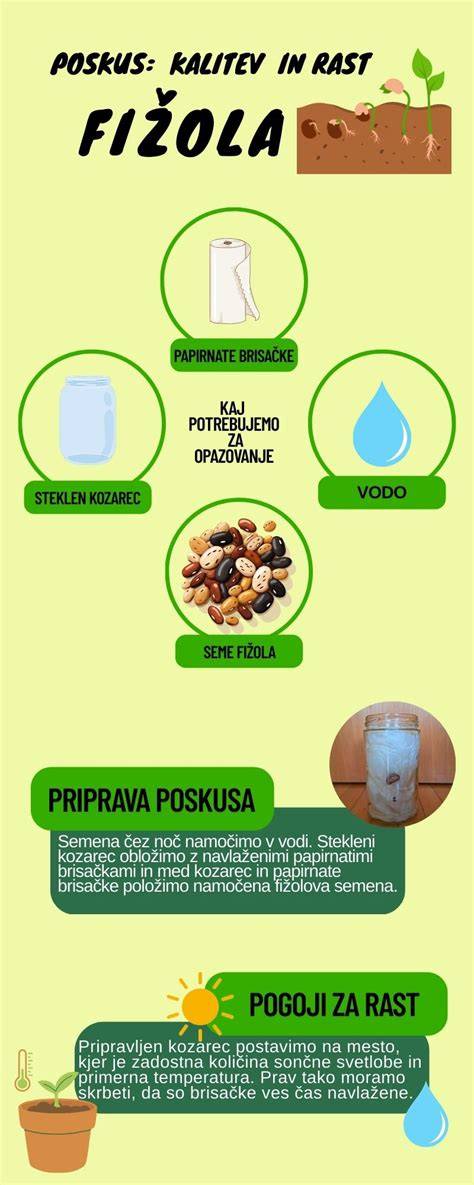 Infografika: Merle zafarbenie - gén, riziká a oči