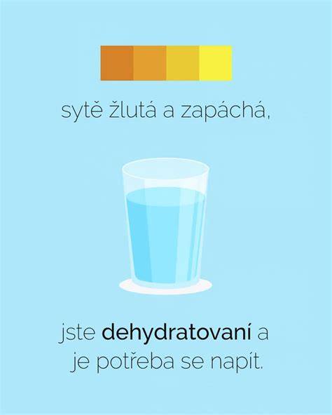 Infografika: Ako zistiť dehydratáciu a adekvátny pitný režim psa