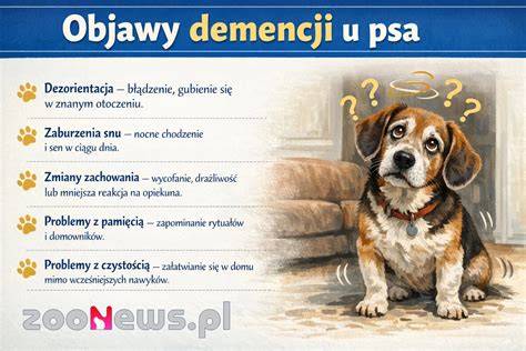 Infografika: Spätné kýchanie u psa a rizikové faktory
