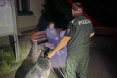 Malinois v práci - služobný pes pri výcviku