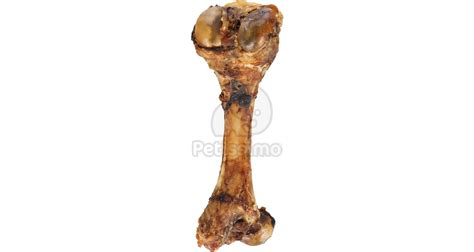 pes zakopávajúci kosť