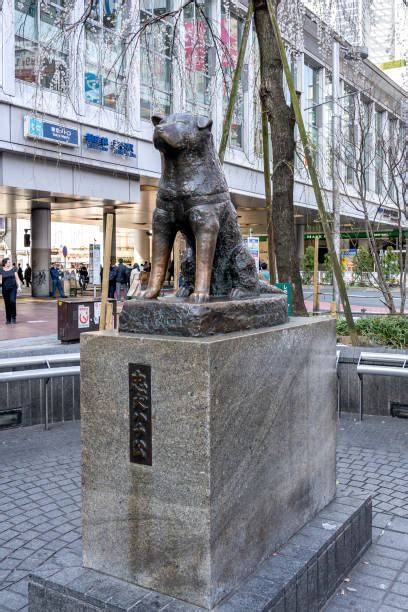 socha Hačikóa na stanici Shibuya
