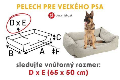 Obrázok ukazujúci ideálne rozmery koterca pre stredne veľkého psa