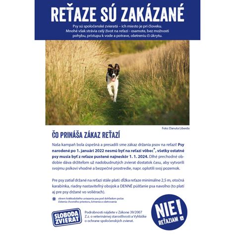 Infografika zobrazujúca výsledky prieskumu o zákaze držania psov na reťazi