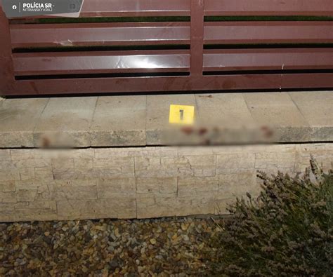 Ilustrácia psa, ktorý sa chystá k útoku