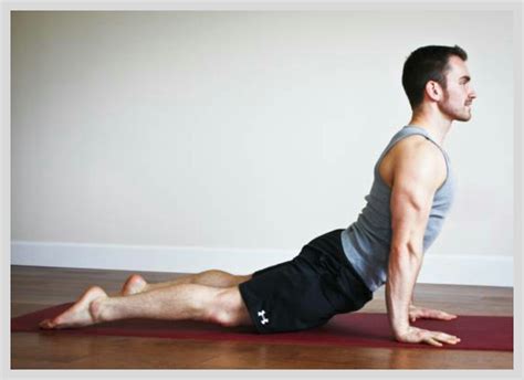 Pes s naklonenou hlavou pri počúvaní